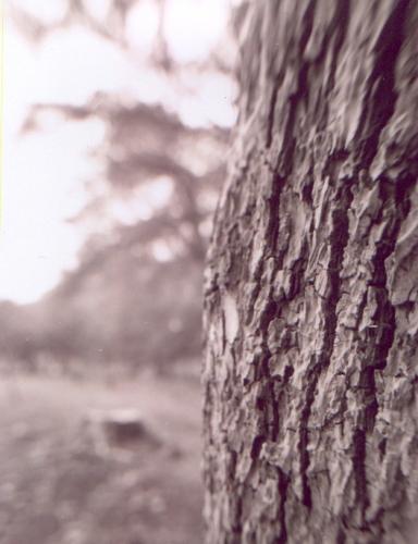 Fotografia de PL - Galeria Fotografica: B&N - Foto: como pasan los a�os...