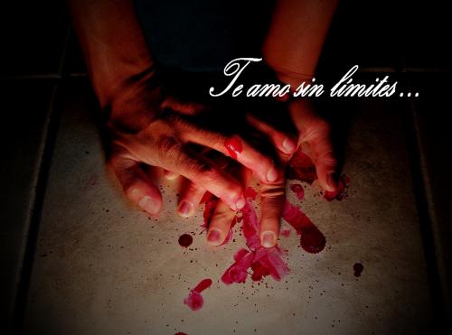 Fotografia de Javiera Santana - Galeria Fotografica: 