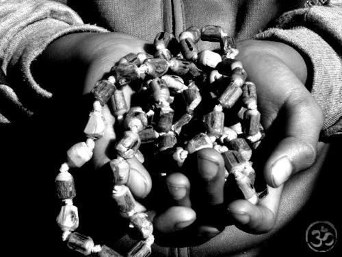 Fotografia de Javiera Santana - Galeria Fotografica: 