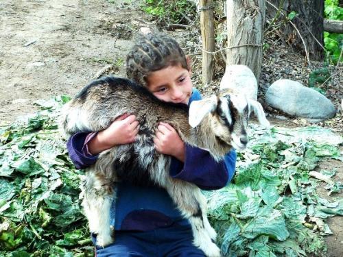 Fotografia de Javiera Santana - Galeria Fotografica: 