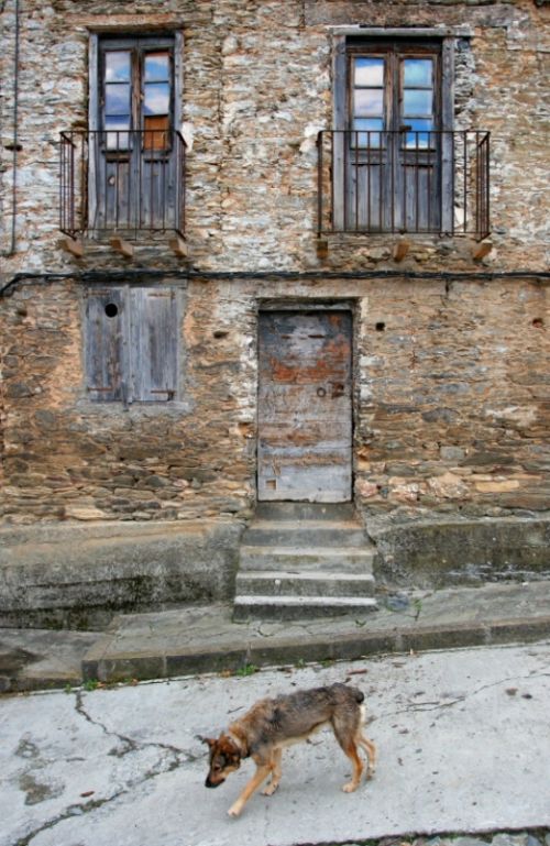 Fotografia de Valcrcel, fotgraf - Galeria Fotografica: pobles - Foto: El gos