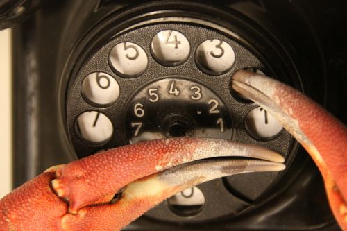 Fotografia de Javier Sanz - Galeria Fotografica: surrealismo - Foto: inteligencia inquietante