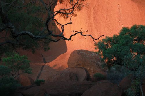 Fotografia de Javier Sanz - Galeria Fotografica: Una visin intimista de la fotografia de la naturaleza - Foto: japones