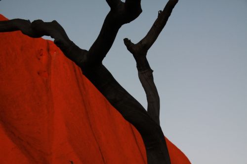 Fotografia de Javier Sanz - Galeria Fotografica: Una visin intimista de la fotografia de la naturaleza - Foto: la linea