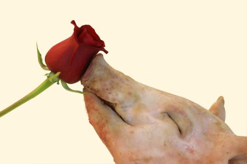 Fotografia de Javier Sanz - Galeria Fotografica: surrealismo - Foto: 