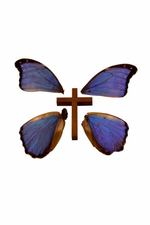 Fotografia de Javier Sanz - Galeria Fotografica: surrealismo - Foto: 