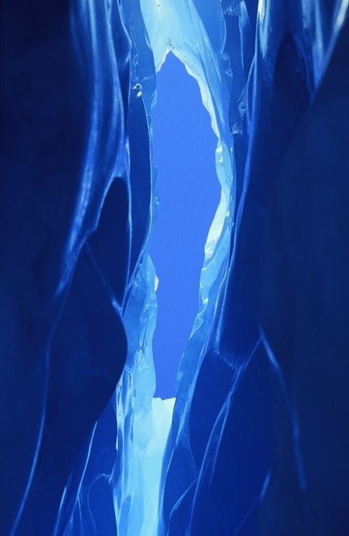 Fotografia de Javier Sanz - Galeria Fotografica: Una visi�n intimista de la fotografia de la naturaleza - Foto: mas alla del azul