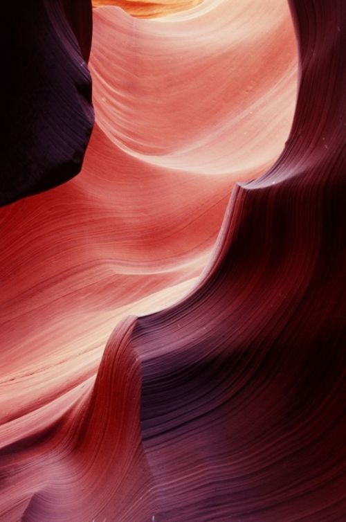 Fotografia de Javier Sanz - Galeria Fotografica: Una visi�n intimista de la fotografia de la naturaleza - Foto: seda