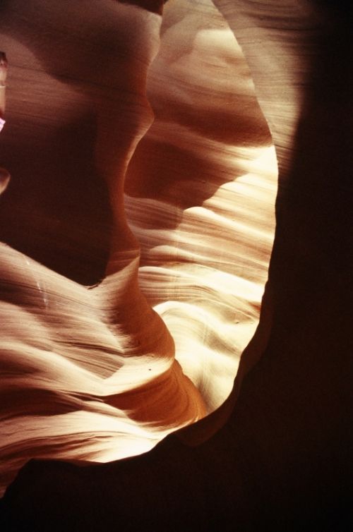 Fotografia de Javier Sanz - Galeria Fotografica: Una visi�n intimista de la fotografia de la naturaleza - Foto: el fosil del viento