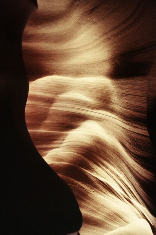 Fotografia de Javier Sanz - Galeria Fotografica: Una visin intimista de la fotografia de la naturaleza - Foto: fosilizar el viento