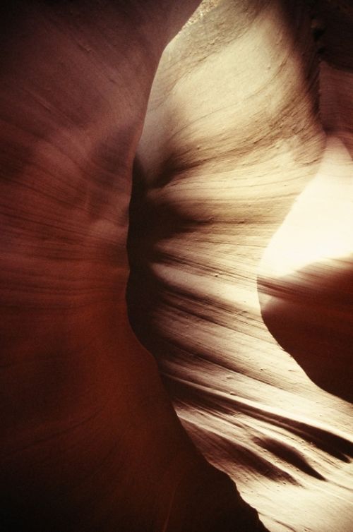 Fotografia de Javier Sanz - Galeria Fotografica: Una visin intimista de la fotografia de la naturaleza - Foto: confluencia