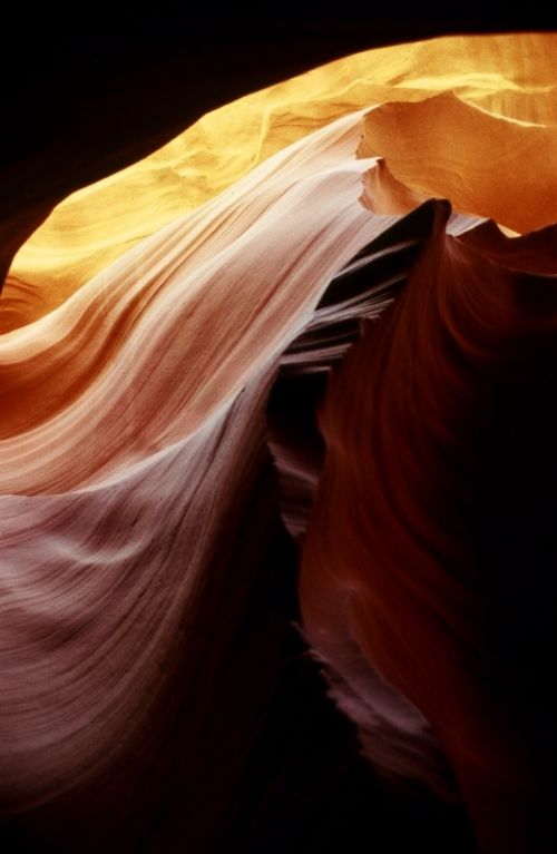 Fotografia de Javier Sanz - Galeria Fotografica: Una visin intimista de la fotografia de la naturaleza - Foto: valanceo