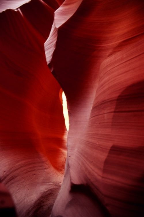 Fotografia de Javier Sanz - Galeria Fotografica: Una visi�n intimista de la fotografia de la naturaleza - Foto: punto de fuga