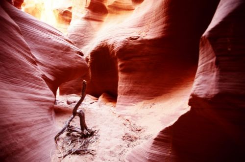 Fotografia de Javier Sanz - Galeria Fotografica: Una visi�n intimista de la fotografia de la naturaleza - Foto: el gran ca�on