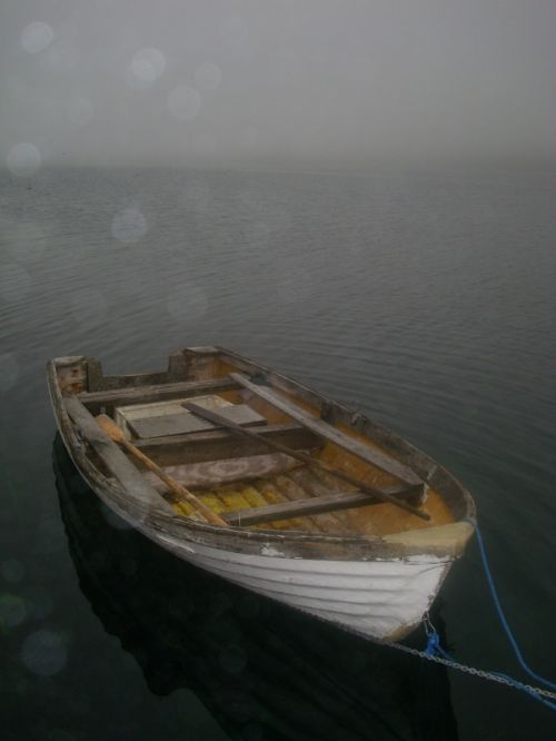 Fotografia de Javier Sanz - Galeria Fotografica: paisajes - Foto: tristeza