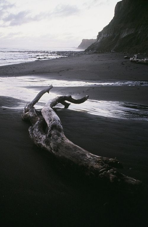 Fotografia de Javier Sanz - Galeria Fotografica: paisajes - Foto: la mano de un gigante
