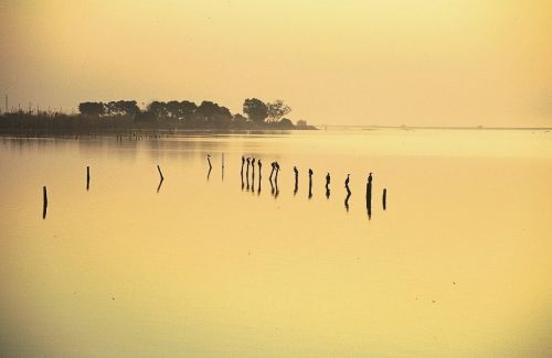 Fotografia de Javier Sanz - Galeria Fotografica: paisajes - Foto: 