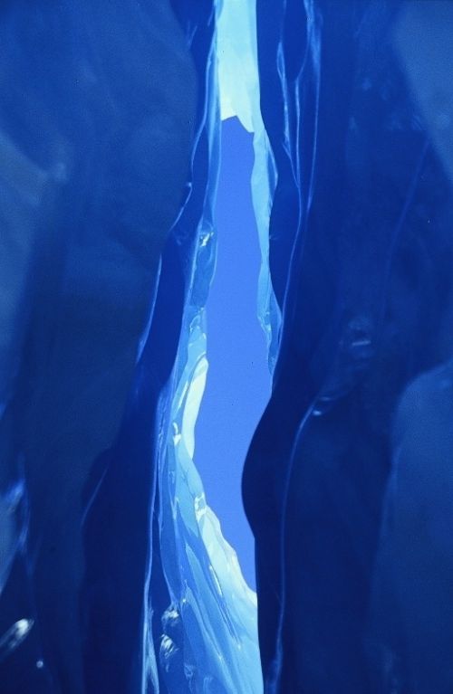 Fotografia de Javier Sanz - Galeria Fotografica: Una visi�n intimista de la fotografia de la naturaleza - Foto: llama azul