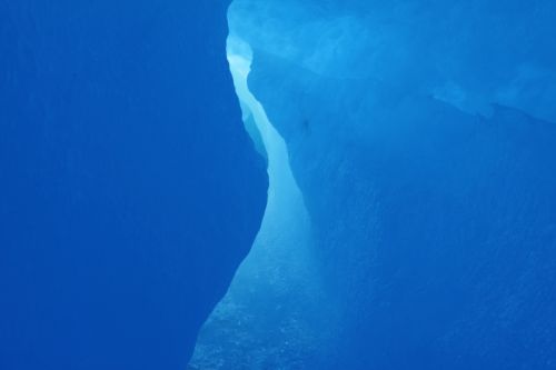 Fotografia de Javier Sanz - Galeria Fotografica: Una visin intimista de la fotografia de la naturaleza - Foto: convergencia