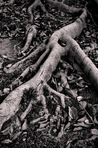 Fotografia de kini - Galeria Fotografica: Reflejo de momentos - Foto: Manto inquieto