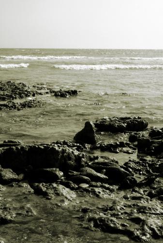 Fotografia de kini - Galeria Fotografica: Reflejo de momentos - Foto: Solo