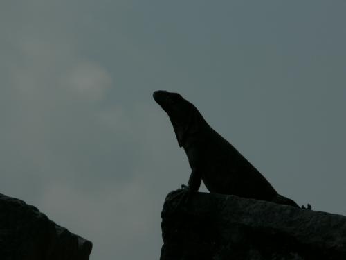 Fotografia de Jacob - Galeria Fotografica: Paisajes y sociedad - Foto: Siluetas II