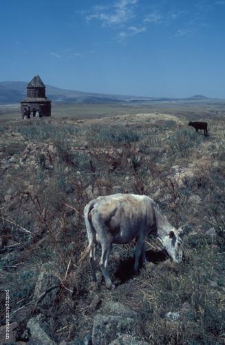 Fotografia de taller inphoto - Galeria Fotografica: turquia - Foto: 