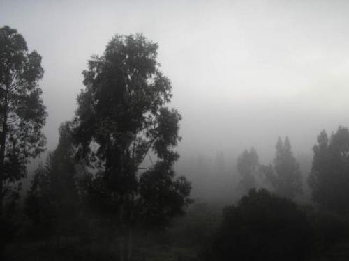 Fotografia de yanne - Galeria Fotografica: De todo un poco - Foto: 