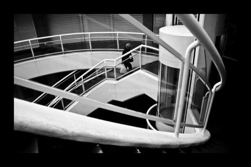 Fotografia de Samuel de Romn, Fotografa - Galeria Fotografica: Maana en el mercado Avenida - Foto: 