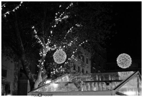 Fotografia de Paula Amadey - Galeria Fotografica: Luces de Navidad en Palma  - Foto: 