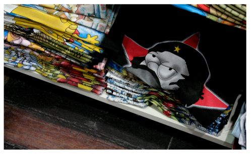 Fotografia de fotografa - Galeria Fotografica: 