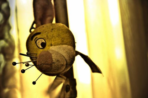 Fotografia de Damian - Galeria Fotografica: Libre - Foto: 