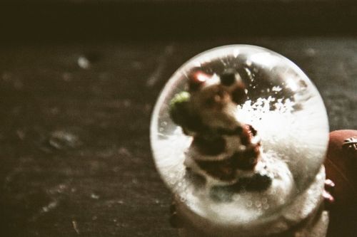 Fotografia de Damian - Galeria Fotografica: Libre - Foto: 