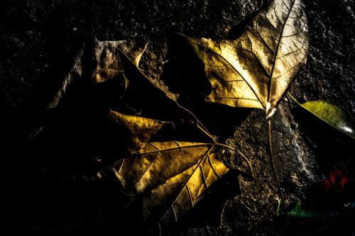 Fotografia de Damian - Galeria Fotografica: Libre - Foto: 