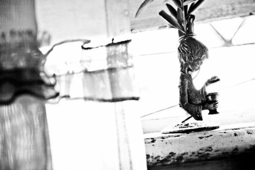 Fotografia de Damian - Galeria Fotografica: Libre - Foto: 