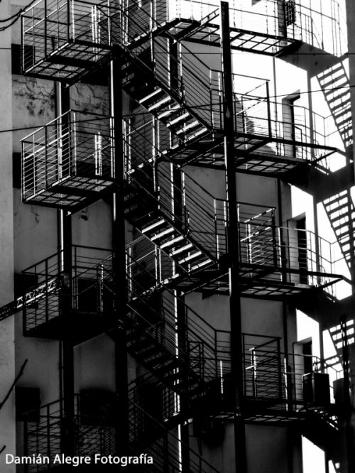 Fotografia de Damian - Galeria Fotografica: Libre - Foto: 