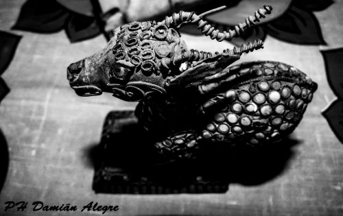 Fotografia de Damian - Galeria Fotografica: Libre - Foto: 