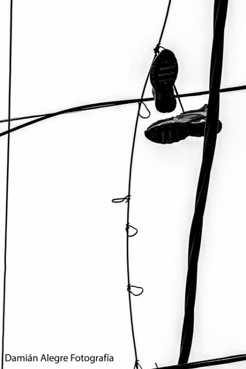 Fotografia de Damian - Galeria Fotografica: Libre - Foto: 