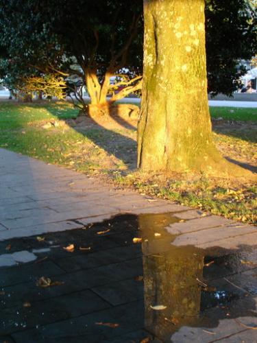 Fotografia de San Pablo - Galeria Fotografica: Varios - Foto: Reflejos y Sombras