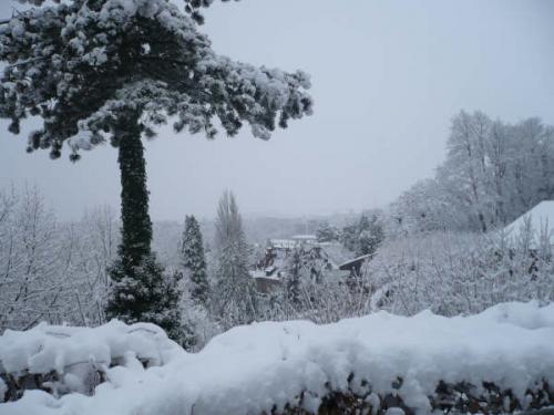 Fotografia de manaus - Galeria Fotografica: frio - Foto: 	en medio de la nieve							