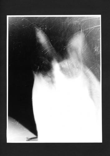Fotografia de ManuFlames - Galeria Fotografica: Negro y blanco - Foto: Araazos