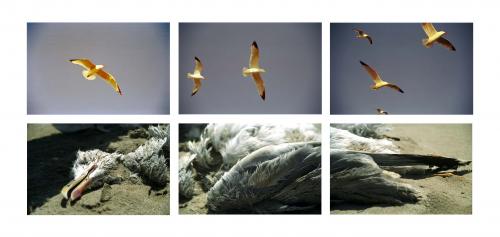 Fotografia de Sin Nombre - Galeria Fotografica: Obras individuales - Foto: Todo lo que sube vaja