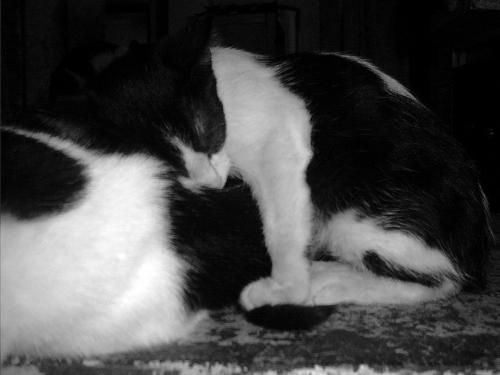 Fotografia de Eliaquim - Galeria Fotografica: Desolacon - Foto: 								