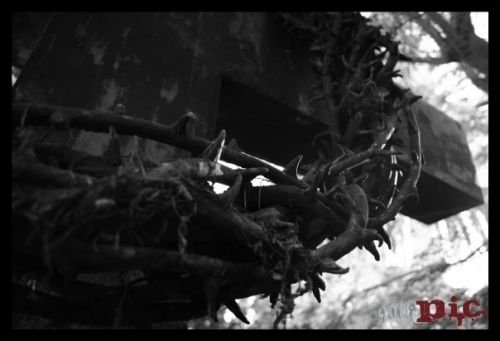 Fotografia de goth pic - Galeria Fotografica: Cementerios. - Foto: 