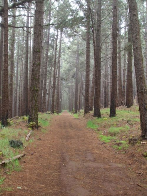 Fotografia de Fotografia JRGC - Galeria Fotografica: un dia mas - Foto: 