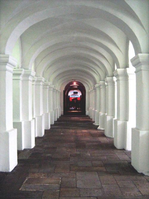 Fotografia de waxxman - Galeria Fotografica: Paisaje del tropico - Foto: 