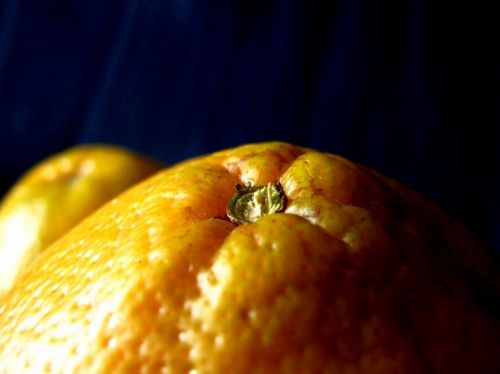 Fotografia de waxxman - Galeria Fotografica: Paisaje del tropico - Foto: 