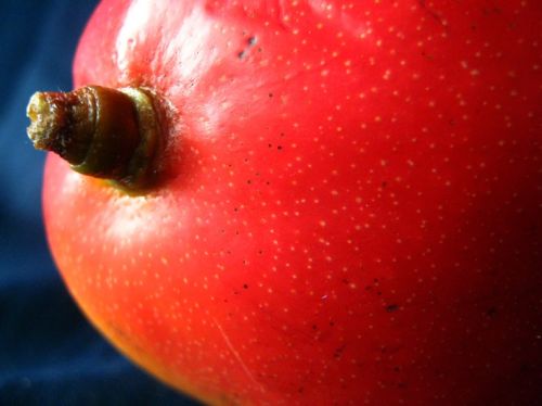 Fotografia de waxxman - Galeria Fotografica: Paisaje del tropico - Foto: 