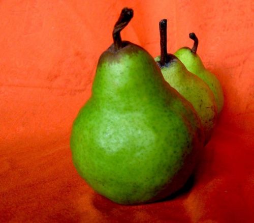 Fotografia de waxxman - Galeria Fotografica: Paisaje del tropico - Foto: 