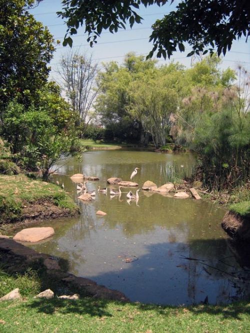 Fotografia de waxxman - Galeria Fotografica: Paisaje del tropico - Foto: 